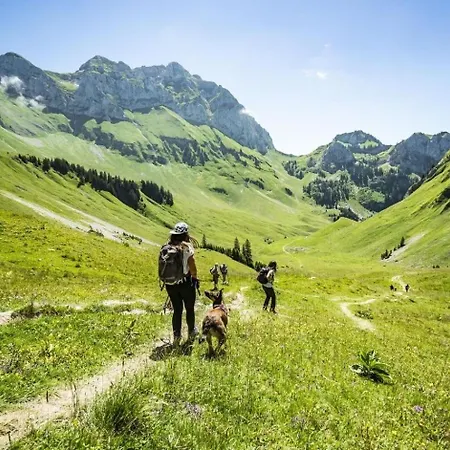 Appartement Myrtilles Mr7 Telecabine & Nature 4 Pers Châtel